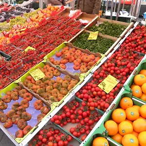 https://hotel-pension-michele.find-berlin-hotels.com